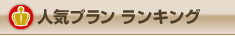 人気プラン　ランキング
