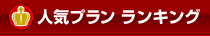 人気プラン　ランキング