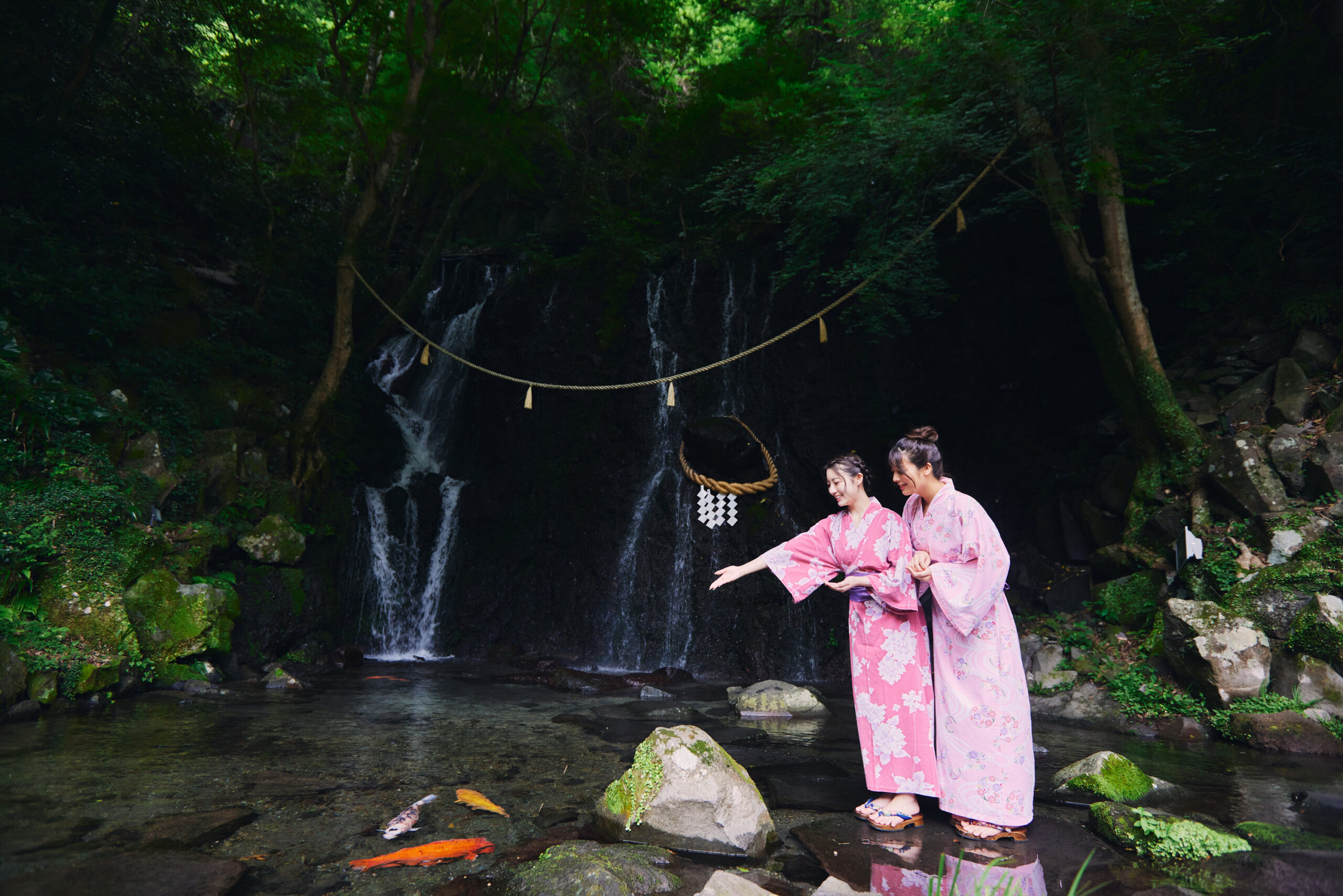 玉簾の瀧・玉簾神社を巡る朝の散歩