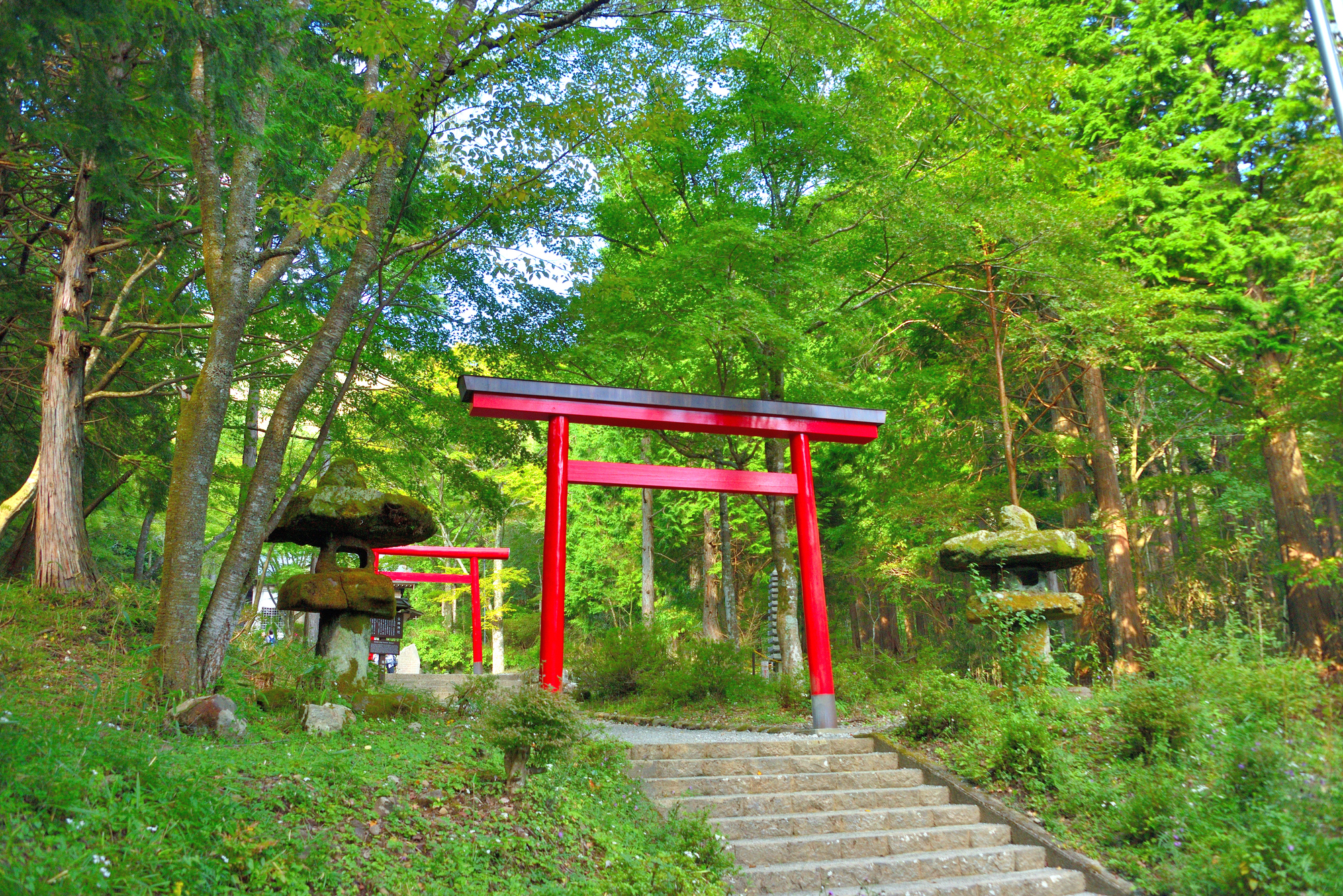 箱根神社を参拝〜芦ノ湖畔を散策