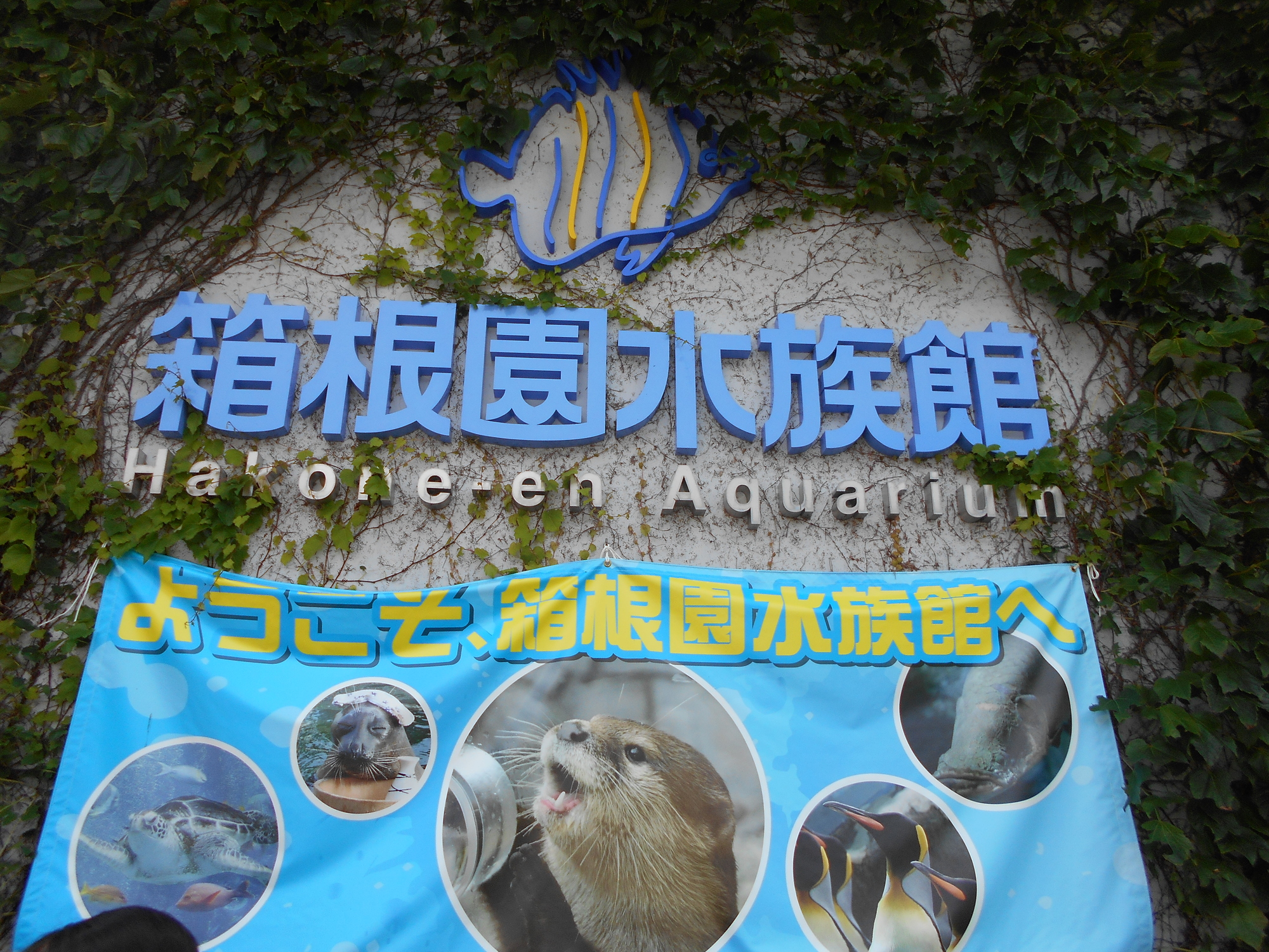 箱根園周辺でランチ〜箱根園水族館を見学