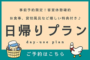 日帰りプラン