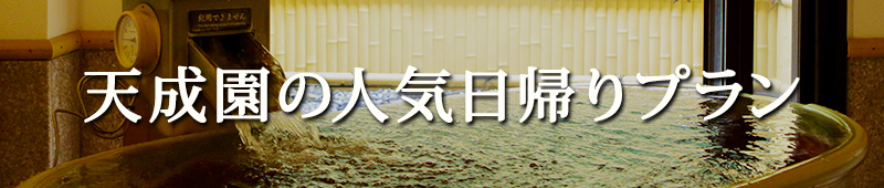 天成園の人気日帰りプラン