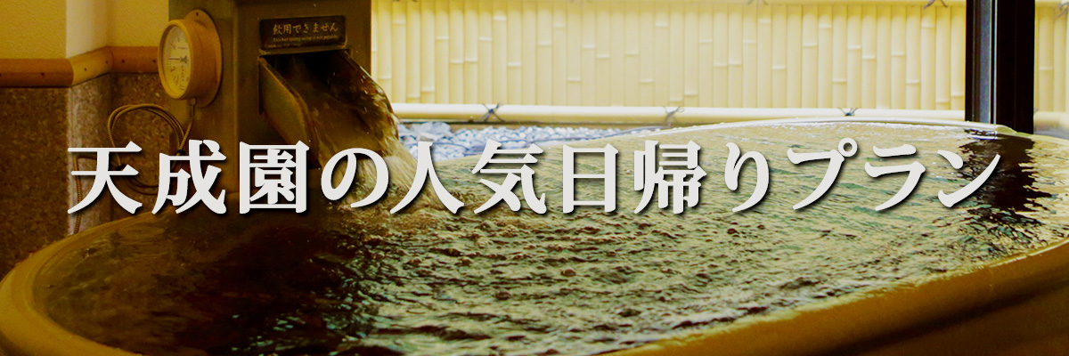 天成園の人気日帰りプラン