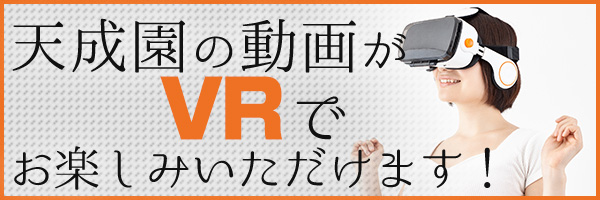 天成園のVR