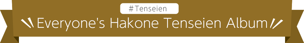 Everyones Tenseien Album